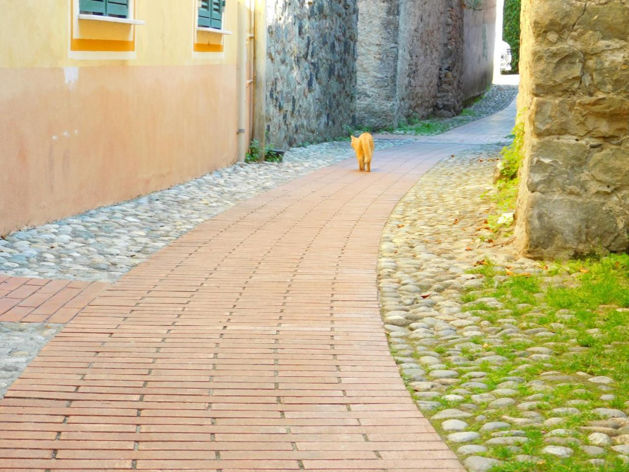 Apartmán Bellissima Casa Nel Centro Storico!!! Levanto Exteriér fotografie